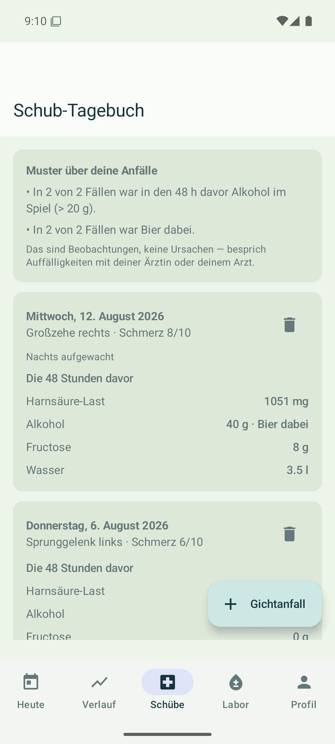 Schub-Tagebuch in Purin-Kompass: Gichtanfall Großzehe rechts, Rückblick auf 48 Stunden mit Harnsäure-Last, Alkohol, Fructose und Wasser